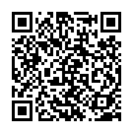 QR code for 411DQI