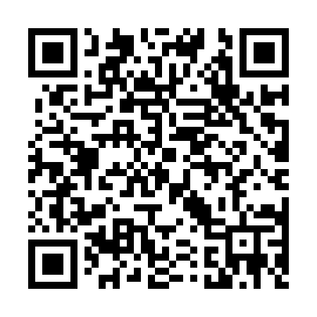 QR code for 411IYT