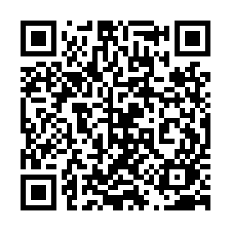 QR code for 411LUO