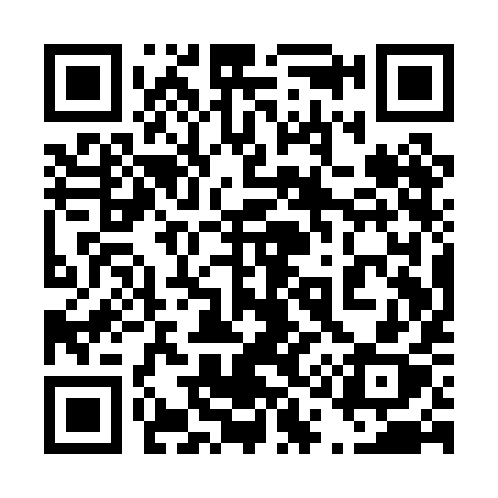 QR code for 411PIX