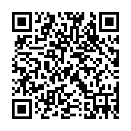 QR code for 411PSW