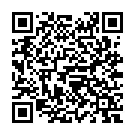 QR code for 411QOV