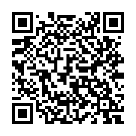 QR code for 411USG