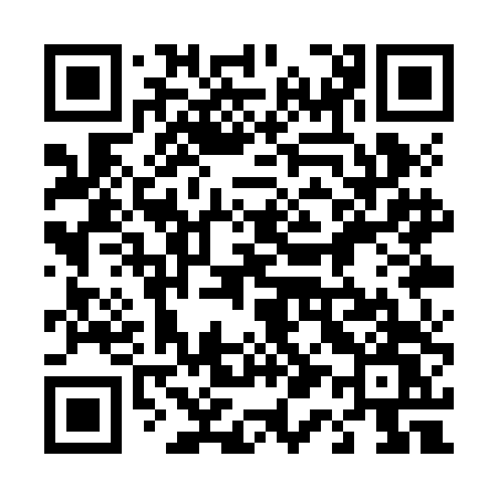 QR code for 411ZDW