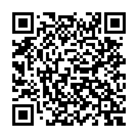 QR code for 413DZG