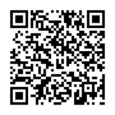 QR code for 419MOV