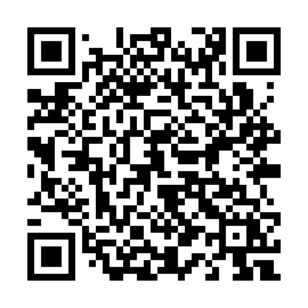 QR code for 419SVX