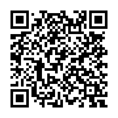 QR code for 425LUX