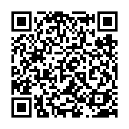 QR code for 429FSI