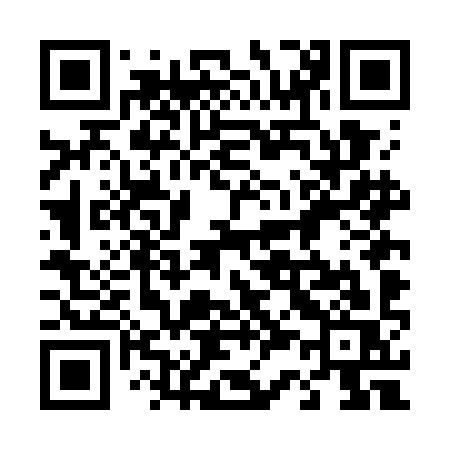 QR code for 434GIS