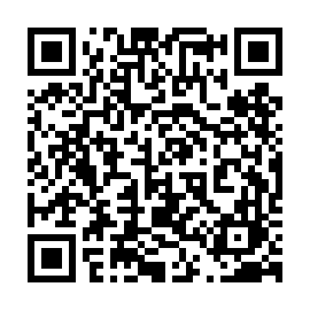 QR code for 441DFL