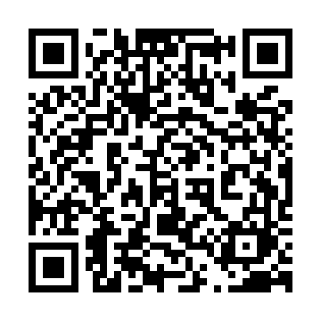 QR code for 441MVM