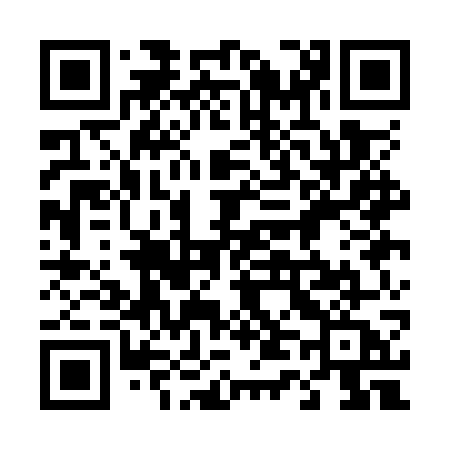 QR code for 441OWA