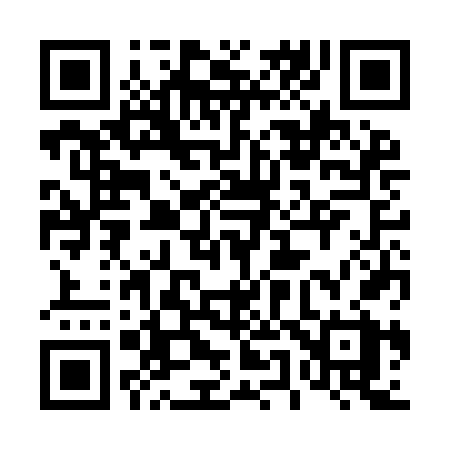 QR code for 453IFX