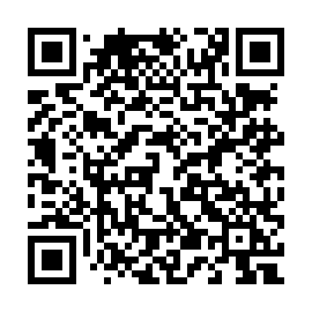 QR code for 453LLI