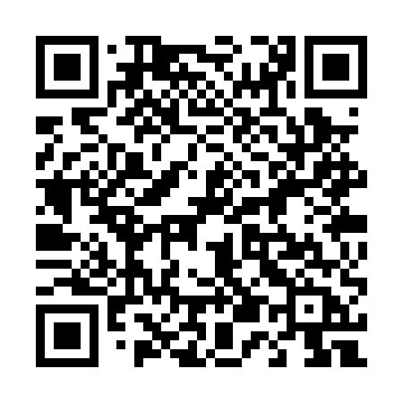 QR code for 453PUB