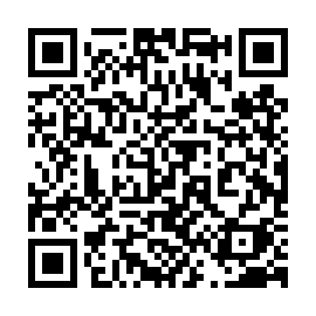QR code for 460DSI