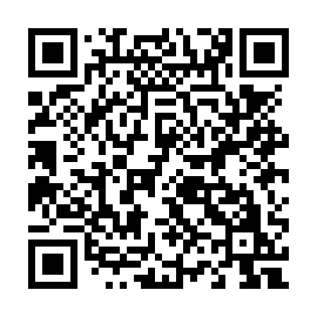 QR code for 461NQO