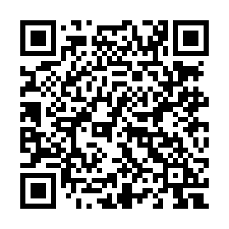 QR code for 463LBI