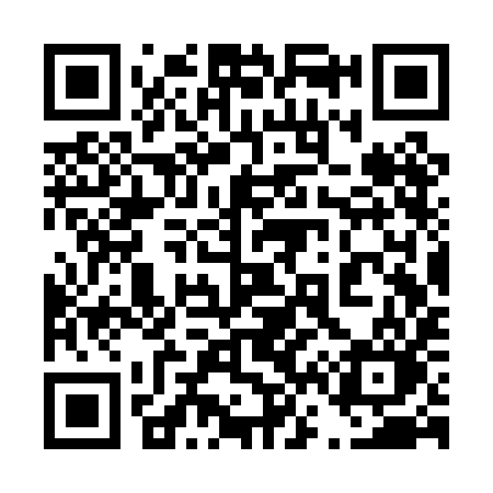 QR code for 463PIO