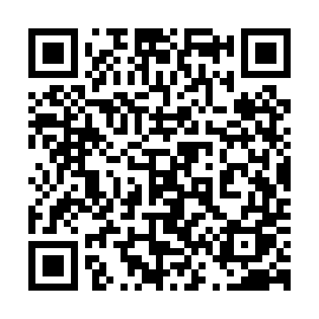 QR code for 463PTQ