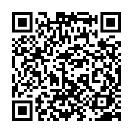 QR code for 491IZH