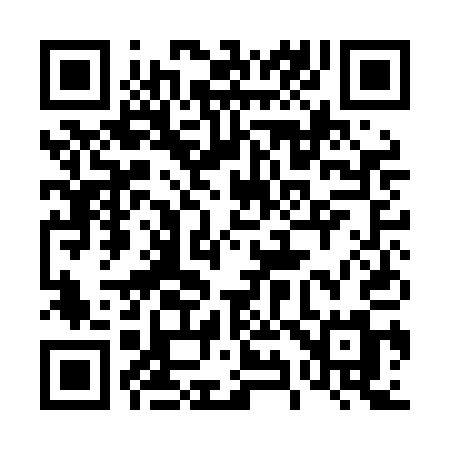 QR code for 491LAM
