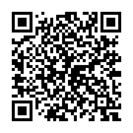 QR code for 491XII
