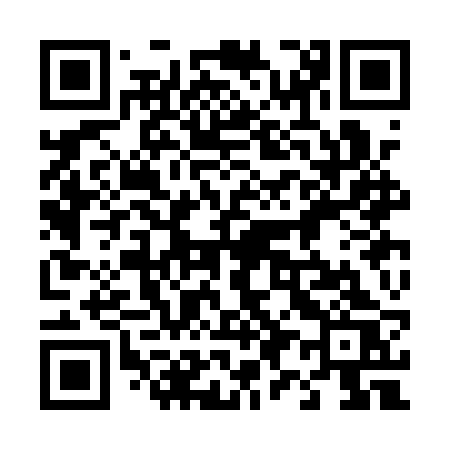 QR code for 493ARS