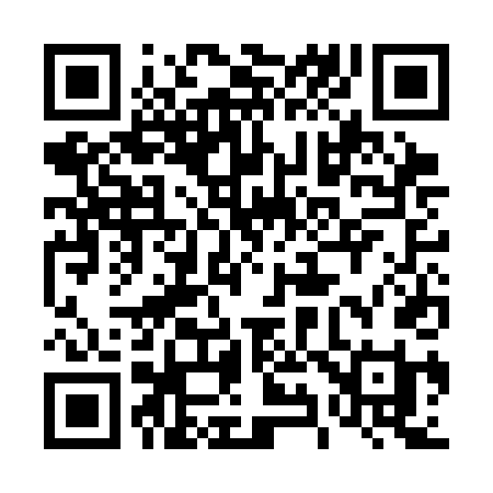 QR code for 493CDI