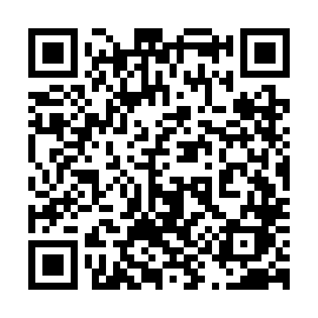 QR code for 493CLK