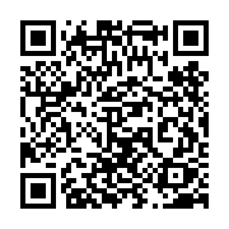 QR code for 493DGX