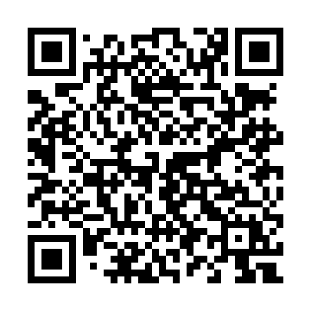 QR code for 493LEX
