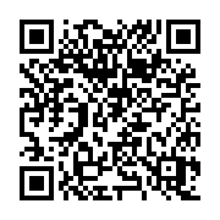 QR code for 493MKT