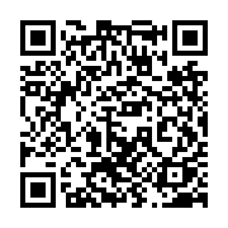 QR code for 493NQQ