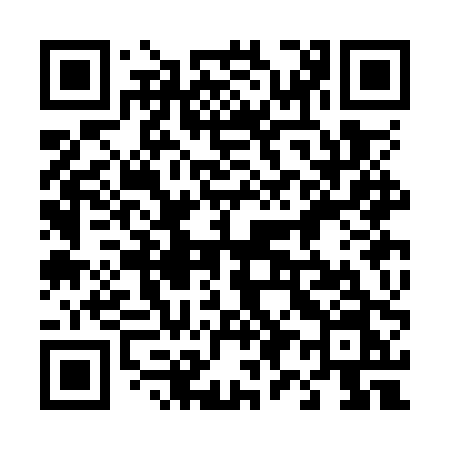 QR code for 493OPN