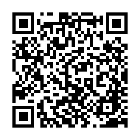 QR code for 493QNG