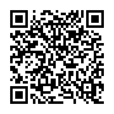 QR code for 493XIL