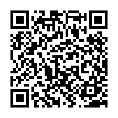 QR code for 494PIS