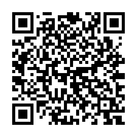 QR code for 495SYR