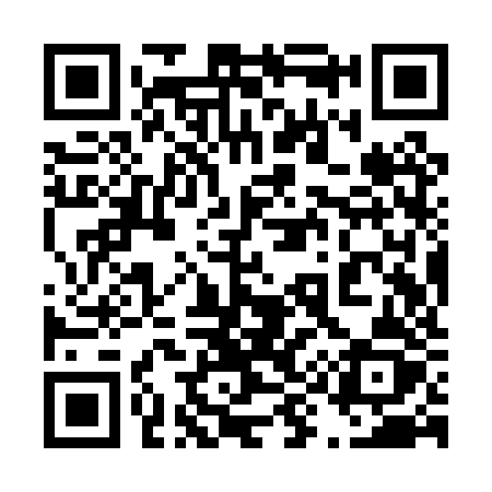 QR code for 499PZZ