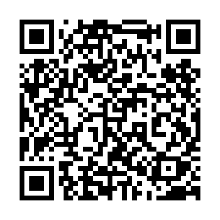 QR code for 501DIY