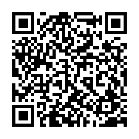 QR code for 509IRV