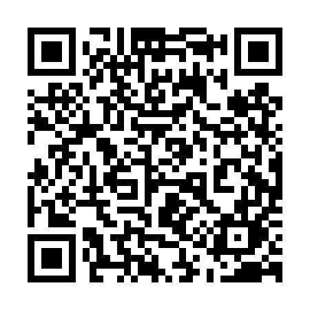 QR code for 510DUL