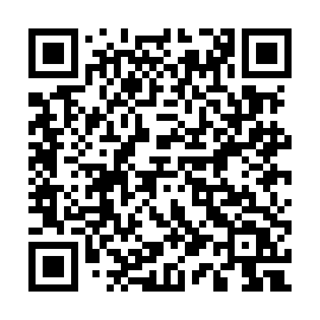 QR code for 511MDT
