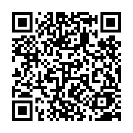 QR code for 519DOE