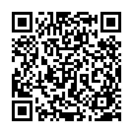 QR code for 519PEG