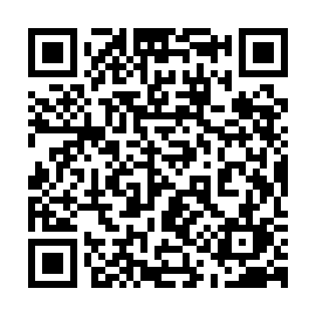 QR code for 519QCL