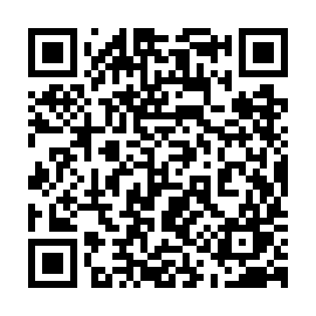 QR code for 519WIW