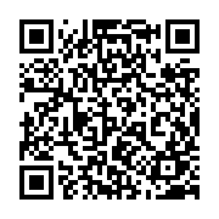 QR code for 519ZYT